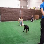 ican adiestramiento canino sevilla