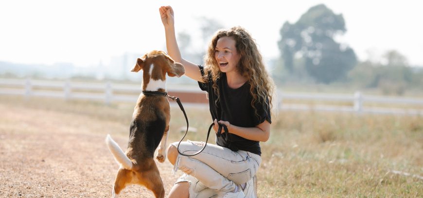 trucos para enseñar a tu perro / enseñar a un perro a saltar