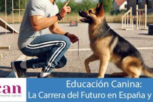 Educacion canina carrera de futuro Educacion canina carrera de futuro