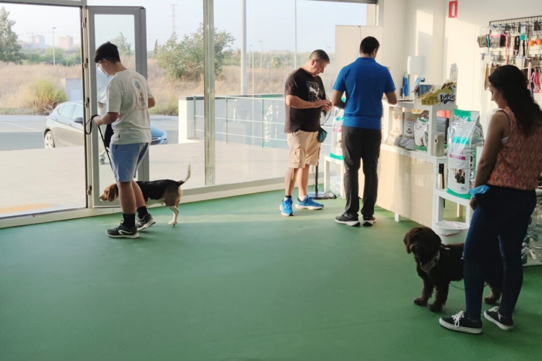 adiestrador canino en sevilla