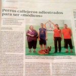 adiestrador de perros en sevilla