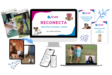 Reconecta💙🐕